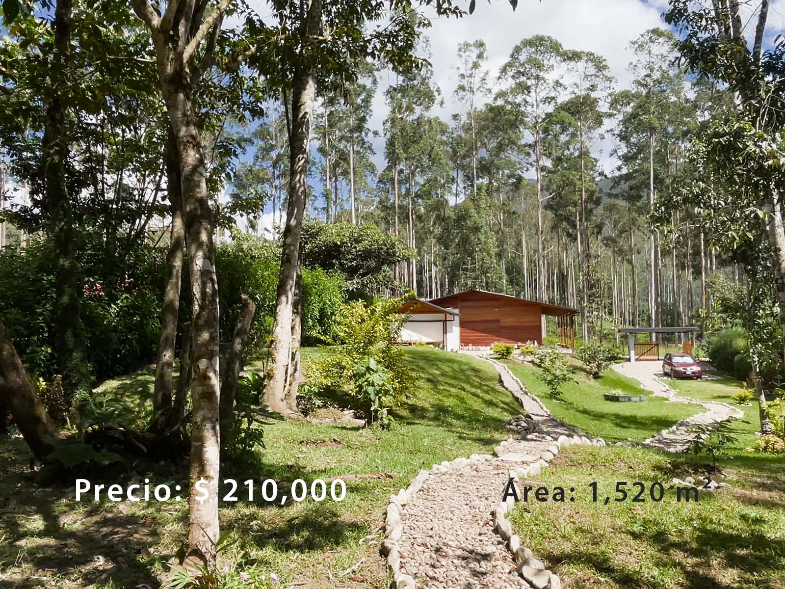 Terreno en Oxapampa de 6.5 ha