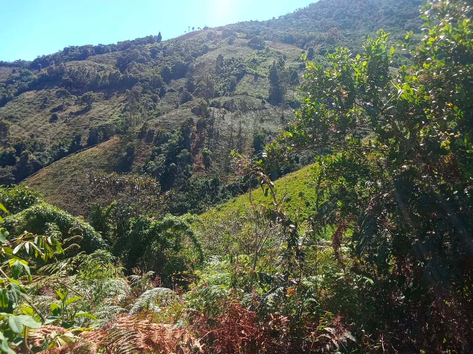Terreno en Huancabamba 24 ha